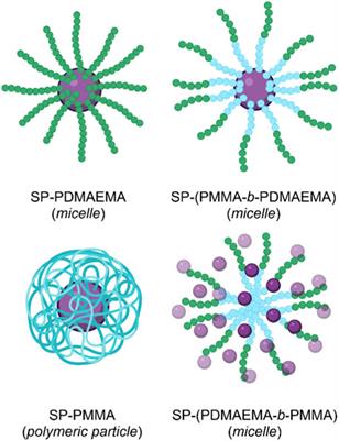 Molecular Switches—Tools for Imparting Control in Drug Delivery Systems